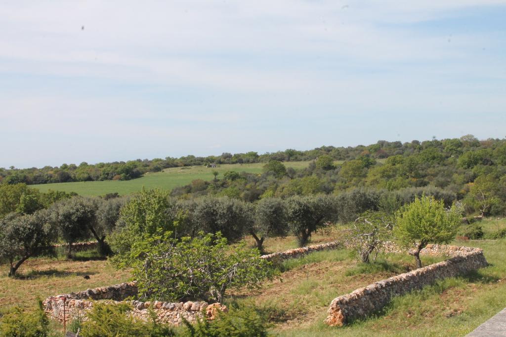 B&B Masseria Cappotto Laterza Bagian luar foto